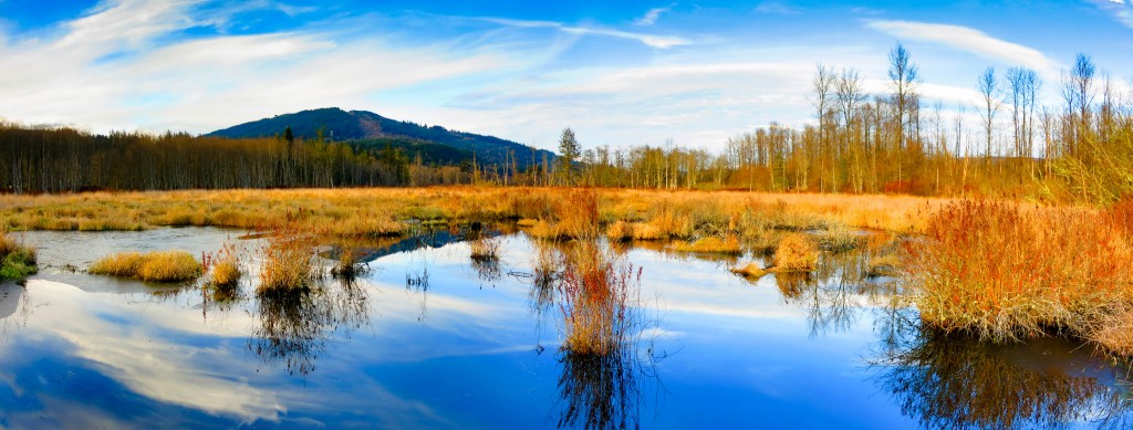 Samish River headwaters 